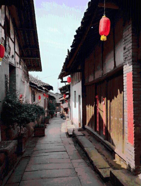 春雨直播app